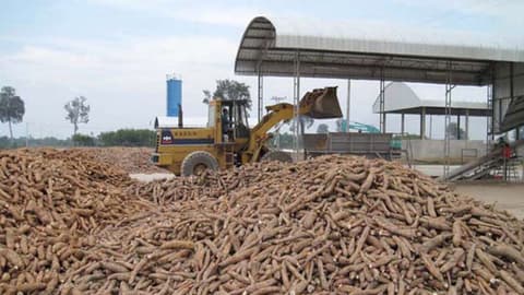 Cassava Network