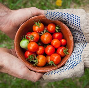 Advisory & Knowledge Hub