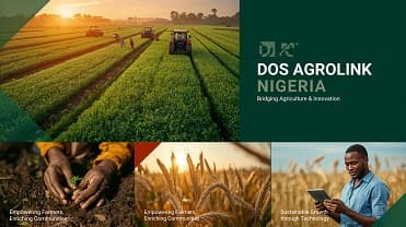 Warehouse & Storage System